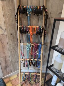collection